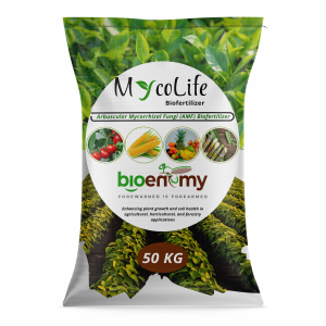 Mycolife AMF