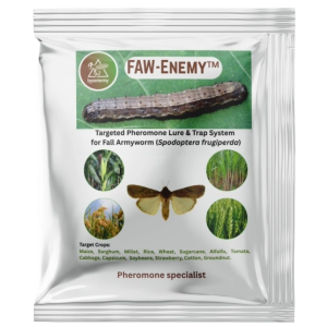 FAW‑Enemy