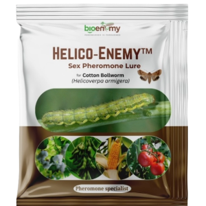 Helico‐Enemy