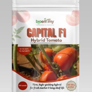 Capital F1