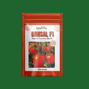 Dansal F1