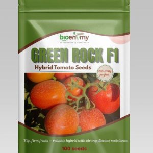 Green Rock F1