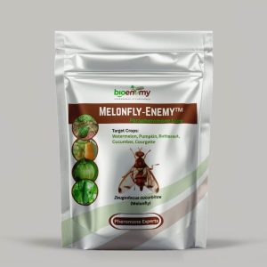 Melonfly‐Enemy